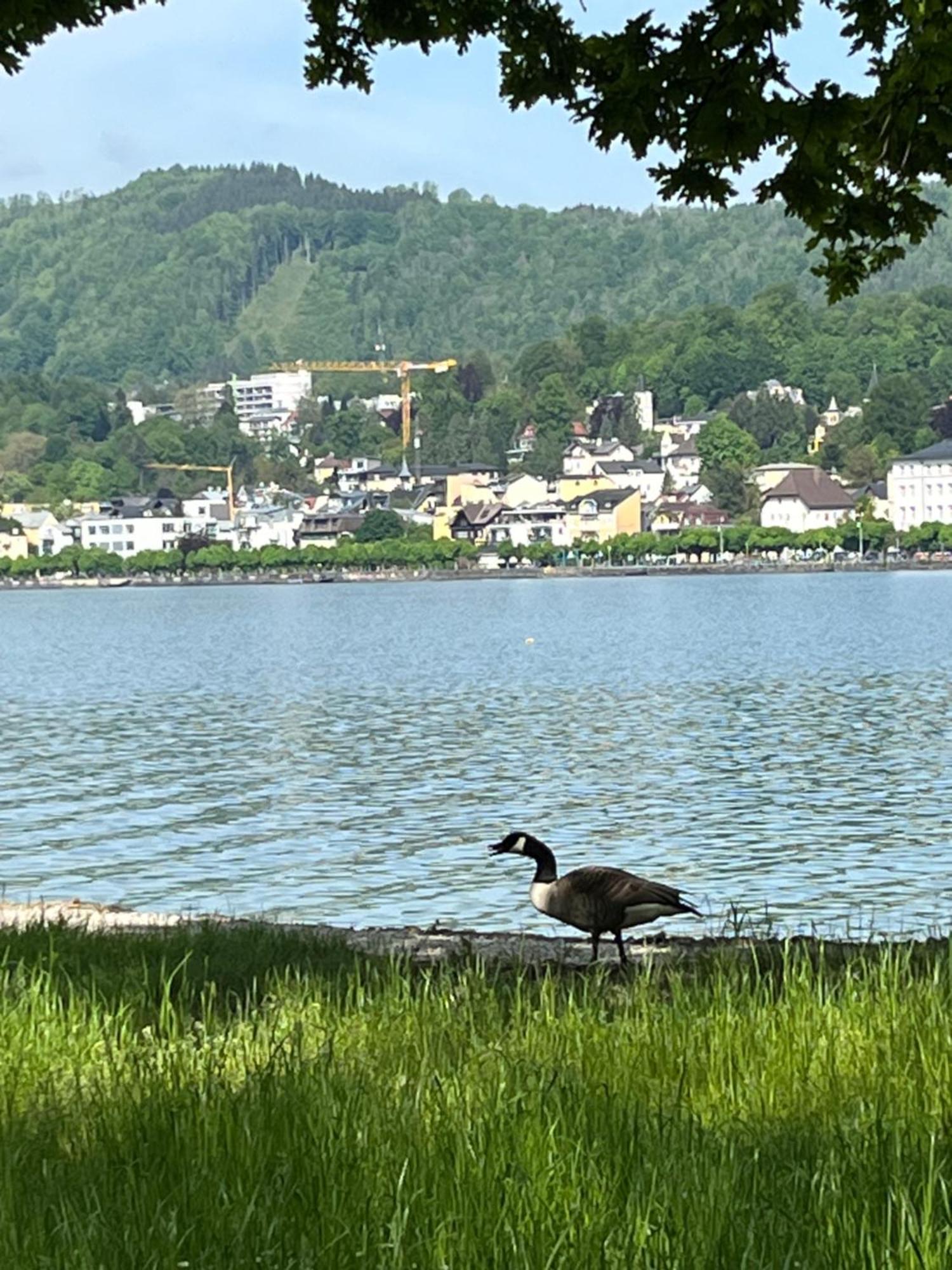 Altstadtjuwel In Gmunden Am Traunsee ภายนอก รูปภาพ