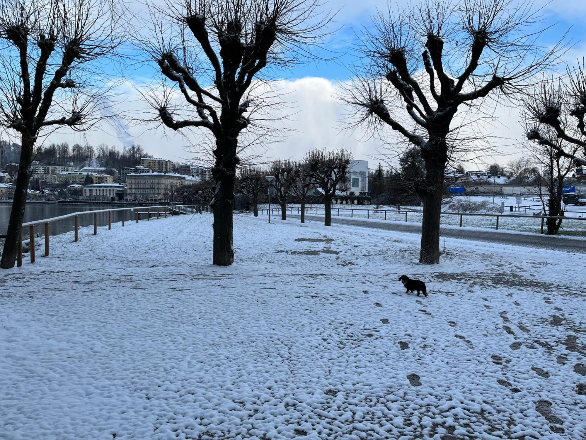 Altstadtjuwel In Gmunden Am Traunsee ภายนอก รูปภาพ